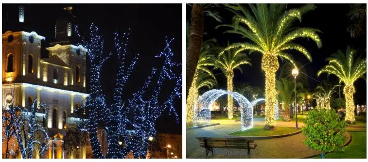LED String Fairy Light 12V Clip Lights for Christmas Outdoor Tree Decoration