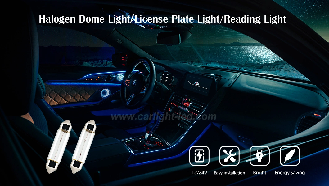 C10W C5w Sv8.5 Auto License Plate Light Reading Light