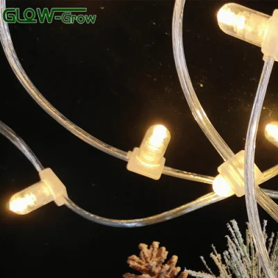 DC12V Supplier Warm White Christmas LED Clip String Light for Tree Commercial Home Decoration